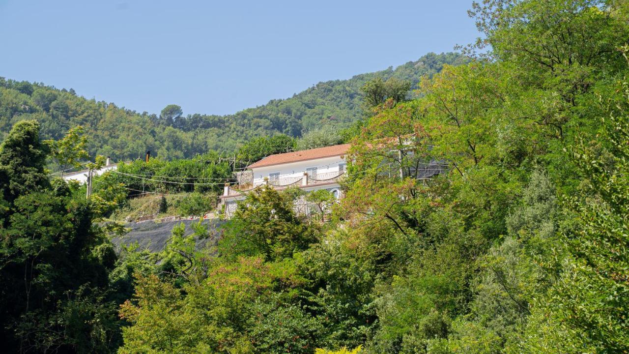 Tra Sole E Limoni Apartments Tramonti Exteriér fotografie