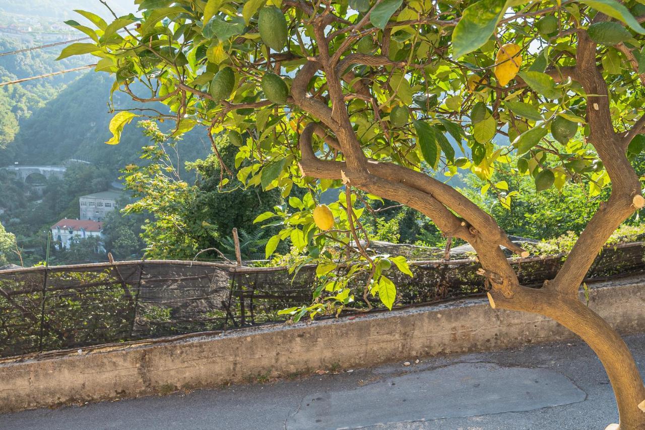 Tra Sole E Limoni Apartments Tramonti Exteriér fotografie